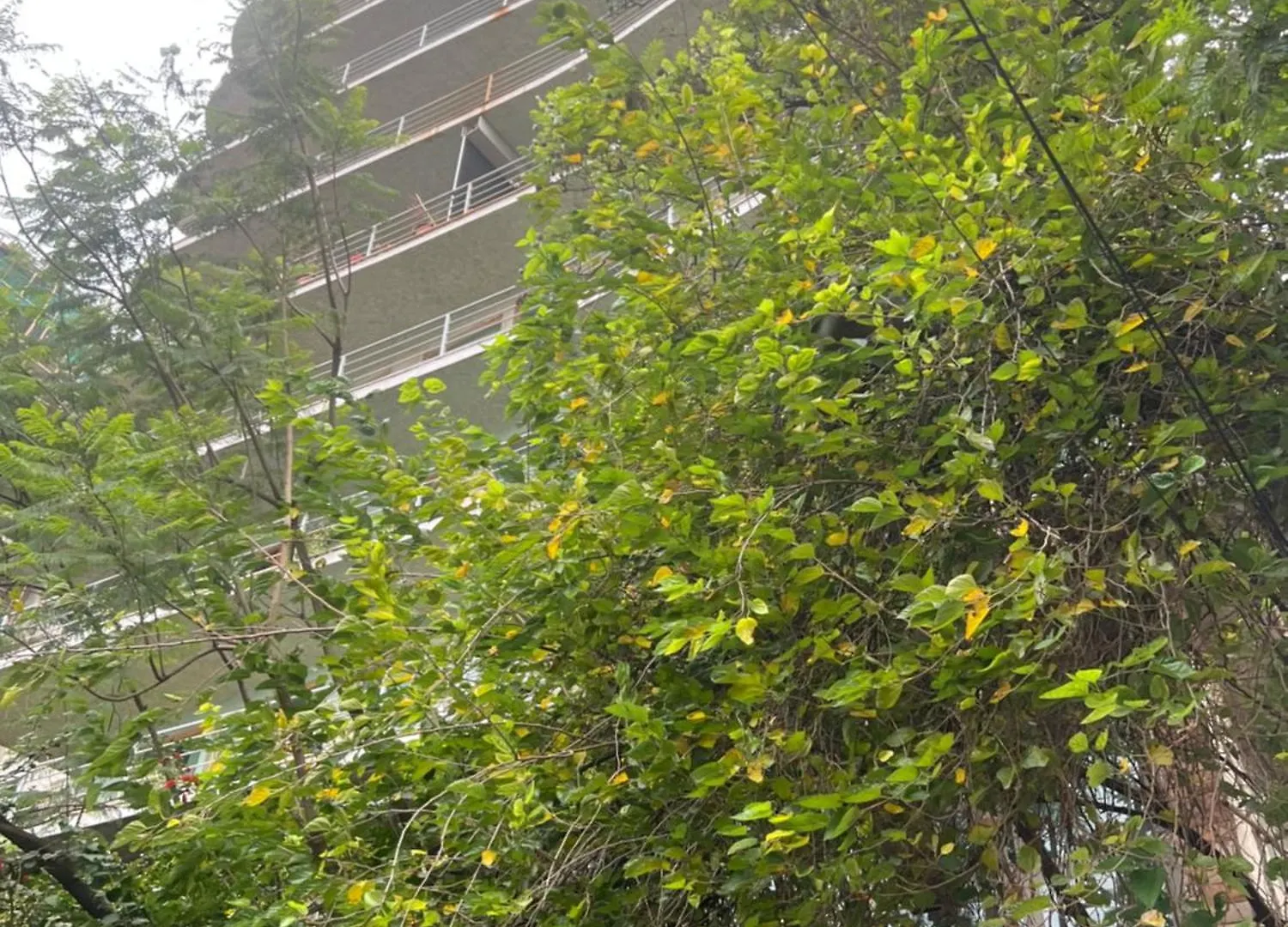 Abay Apartment Adis Abeba